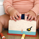 Early Bird Pop Up Wood Toy