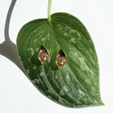 Pothos Stud Earring