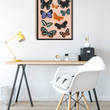 Butterfly Chart - Art Print