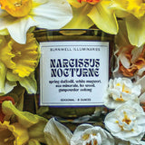 Narcissus Nocturne - Scented Candle