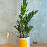 Portal Planters - The Agnes