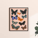Butterfly Chart - Art Print