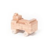 Eco-bricks™ - 145 Piece