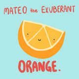 Mateo the Exuberant Orange