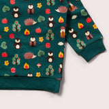 Long Sleeve Raglan Sweatshirt - Woodland Walk