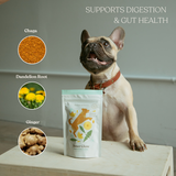 Inner Glow - Superfood Dog Treats