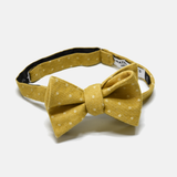 Polka Dots Bow Tie - Yellow