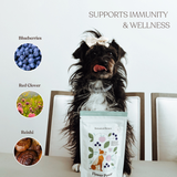 Flower Power - Superfood Dog Treats